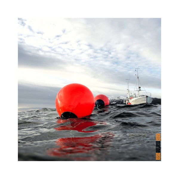 Polyform A Series All Purpose Buoy and Round Fender (Red Blue Top)