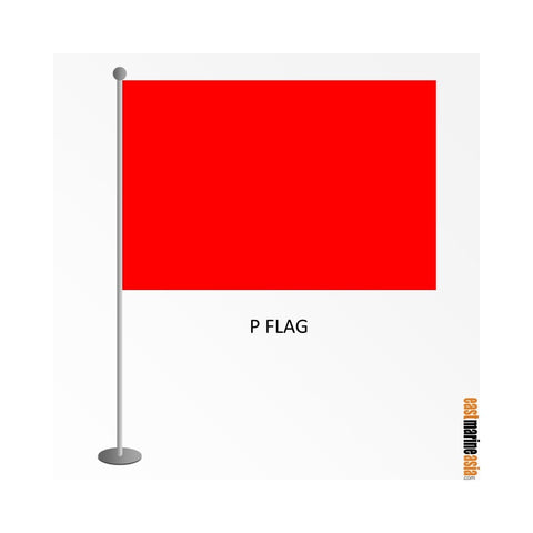 EMA International Flag - Protest Flag (P Flag)