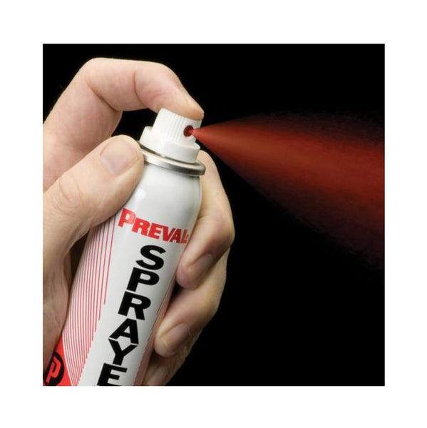 Preval Sprayer