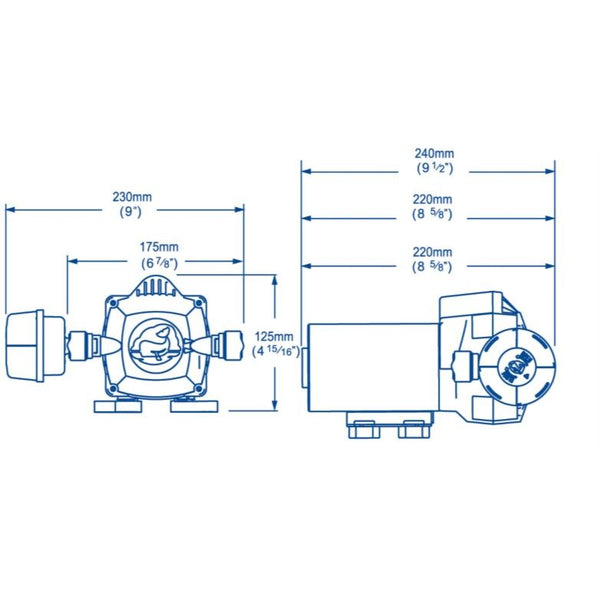 Whale Universal Automatic Pressure  / Washdown Pump
