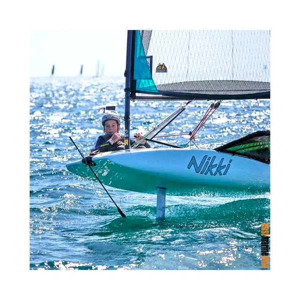 Ronstan Horizontal Mount Carbon Wind Vane Pro