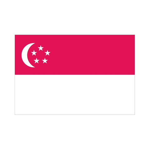 EMA International Flag - Singapore
