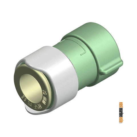 Whale WX1538 Quick Connect - Adaptor 3/8" BSP Female